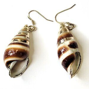 Shell Spiral Earrings Conch Sea Shell Earrings